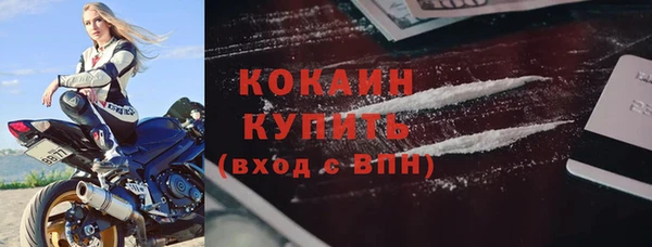тгк Касимов