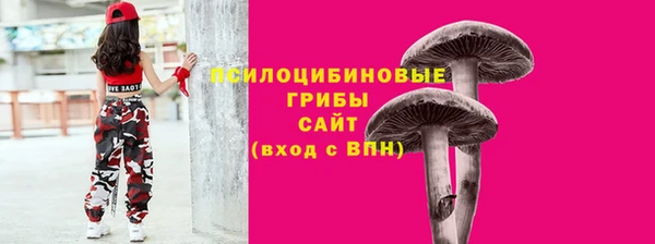 ECSTASY Барнаул