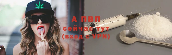 тгк Касимов