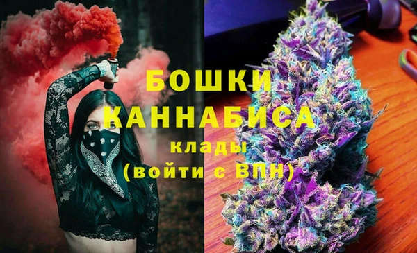 тгк Касимов