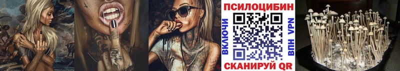 Галлюциногенные грибы Psilocybine cubensis  купить  сайты  кракен зеркало  Пойковский 
